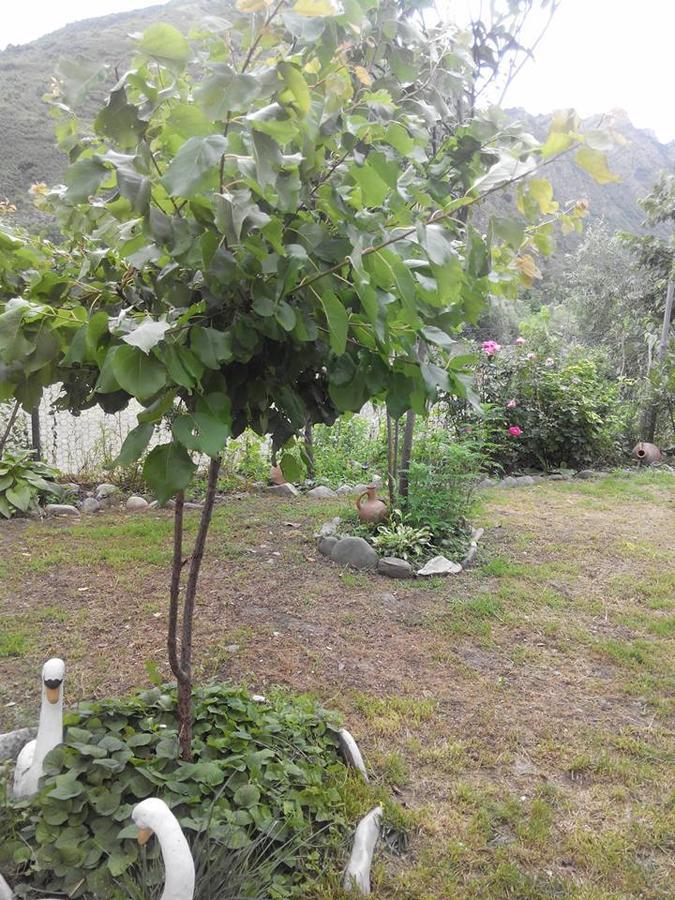 Villa Piano Mtsʼkhetʼa Kültér fotó